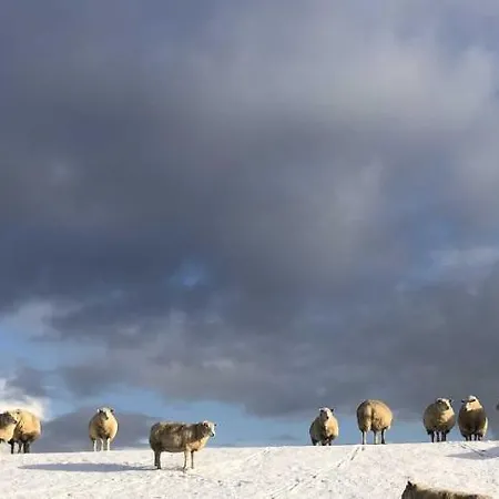 Tief 10 Stoertebeker 903 *