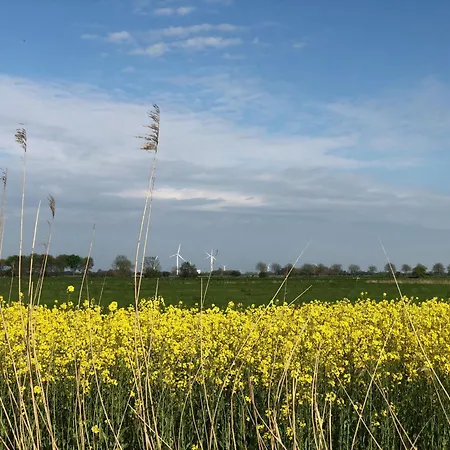Tief 10 Stoertebeker 903 Schillig