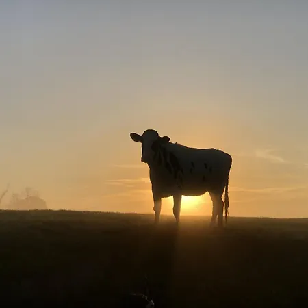 Lägenhet Tief 10 Störtebeker 903 Schillig