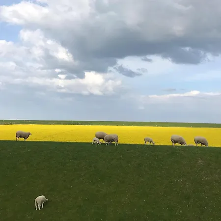 Διαμέρισμα Tief 10 Stoertebeker 903