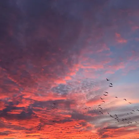 Tief 10 Störtebeker 903 *