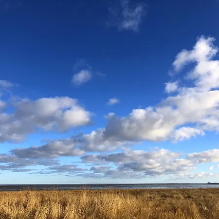 Tief 10 Störtebeker 903 Schillig