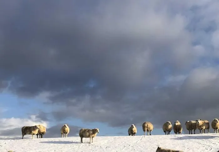 Tief 10 Stoertebeker 903 *