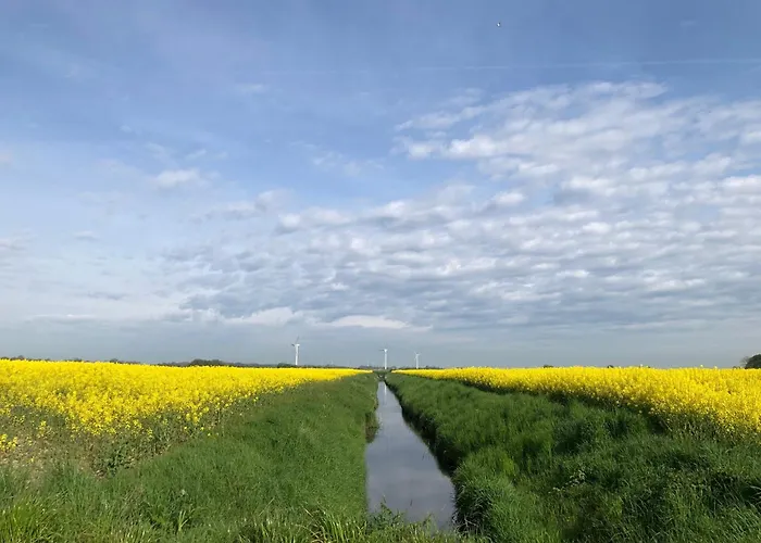 Tief 10 Stoertebeker 903 Daire