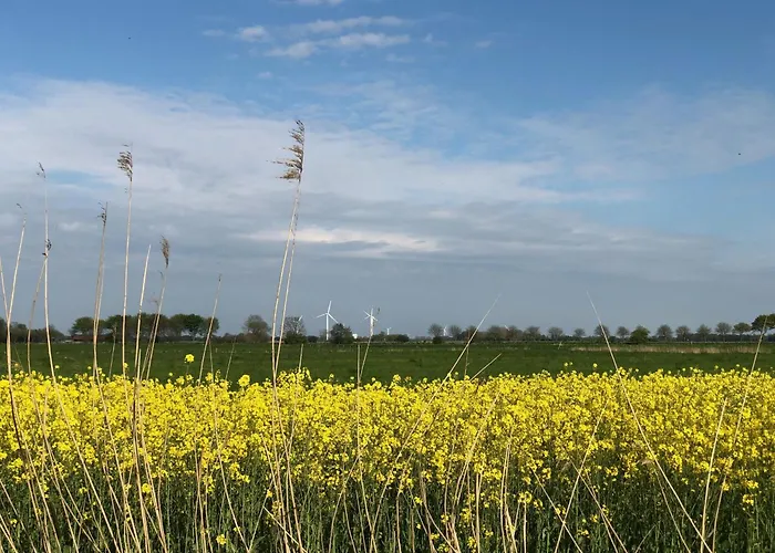 Tief 10 Stoertebeker 903 Schillig