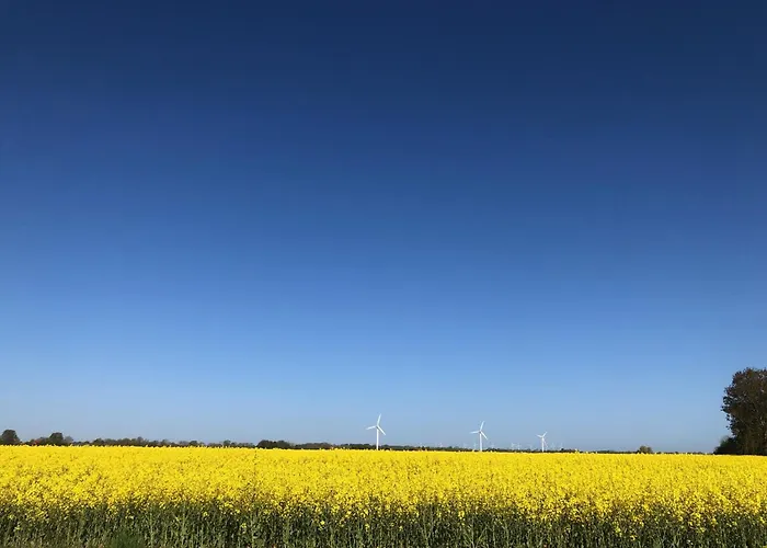 Tief 10 Stoertebeker 903 Daire *