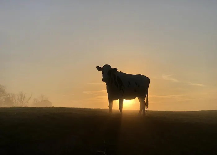 Daire Tief 10 Stoertebeker 903 Schillig
