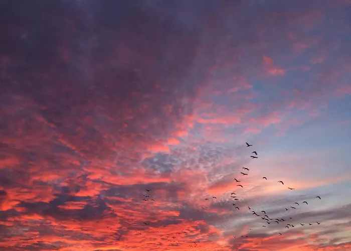 Tief 10 Stoertebeker 903 *