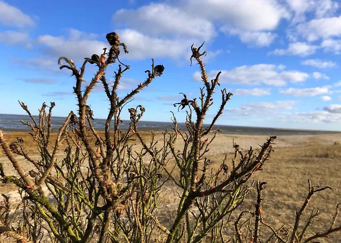 Tief 10 Stoertebeker 903 Daire