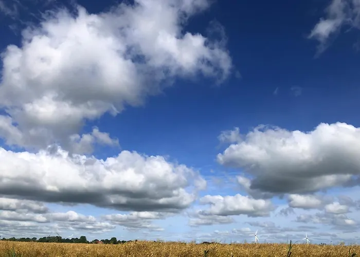 Daire Tief 10 Stoertebeker 903 Schillig